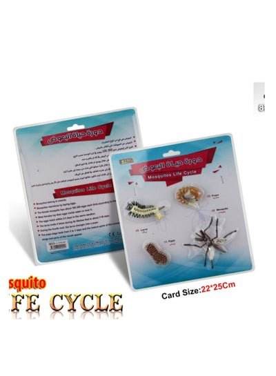 1 Pcs Educational Set, Mosquitos life cycle - Family book shop