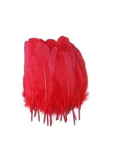 Natural Goose Feather - Family book shop