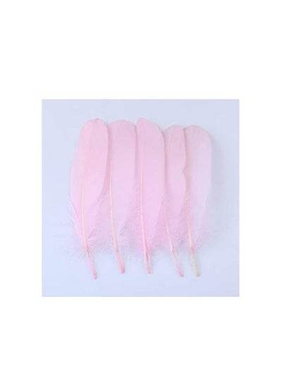 Natural Goose Feather - Family book shop