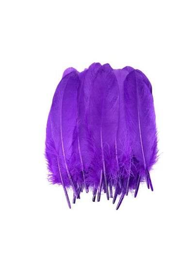 Natural Goose Feather - Family book shop