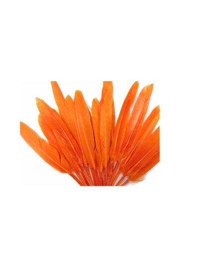 Natural Goose Feather - Family book shop