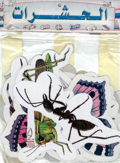 Colorful insect flash cards for kids featuring various insects including butterflies and ants