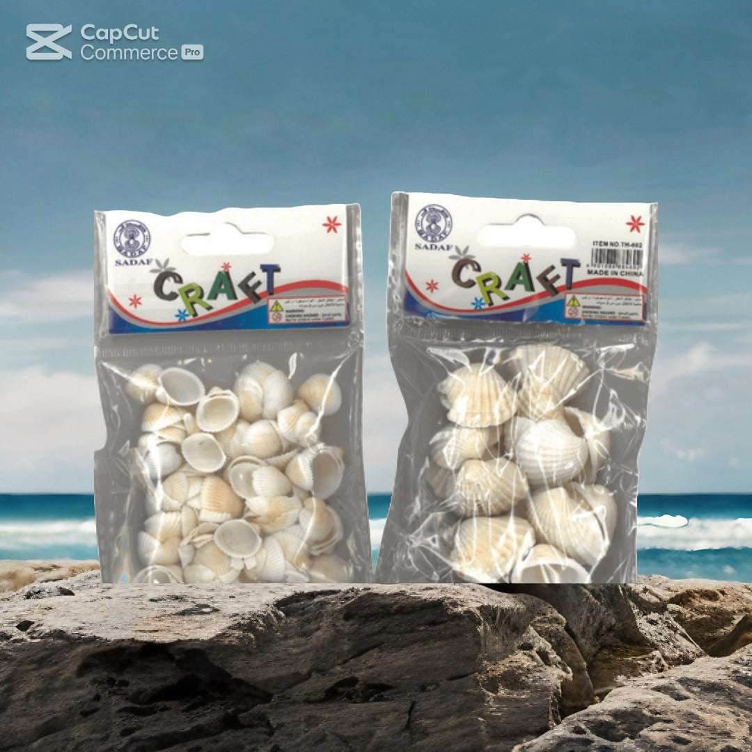 SADAF seashell craft set featuring assorted seashells in two packs, perfect for beach-themed craft projects.