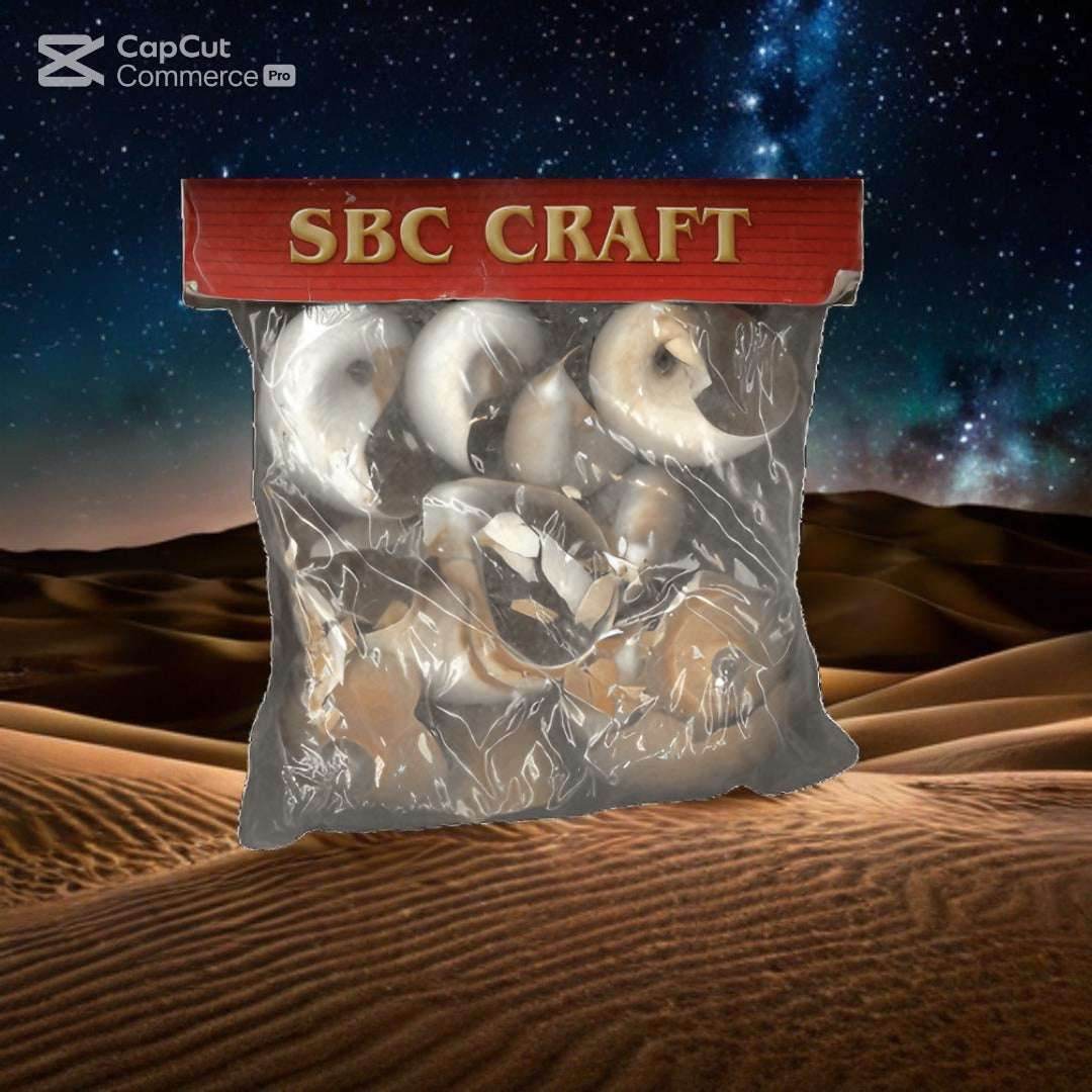 "SBC Craft Natural Seashell Set for Beach-Themed Projects"