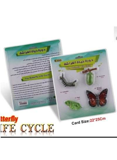 1 Pcs Educational Set, the butterfly life cycle - Family book shop
