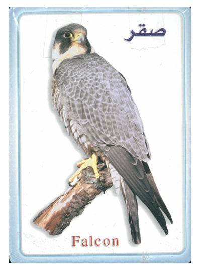 Birds Name English & Arabic Pocket Flash Cards - Family book shop
