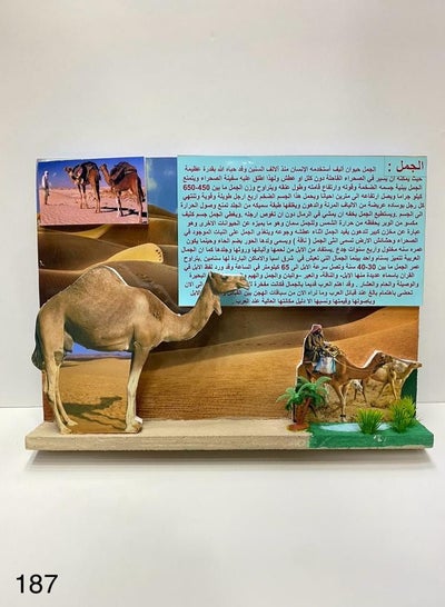 Camel life 3D school project AR - Family book shop