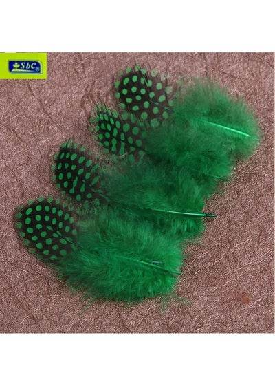 Color Spotted Pheasant Feathers - Family book shop