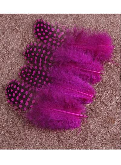 Color Spotted Pheasant Feathers Plume Decoration Accessories - Family book shop