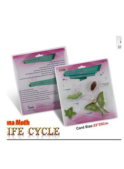Educational Set,the luna mouth life cycle - Family book shop