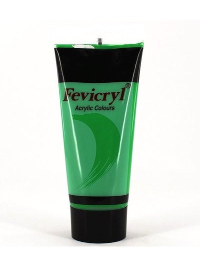 Fevicryl 1 Pcs Acrylic Colour AC17 200ml Cadmium Green - Family book shop