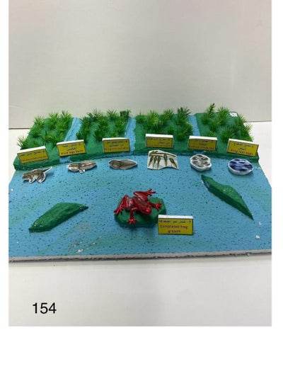 Frog growth stages3D school project - Family book shop