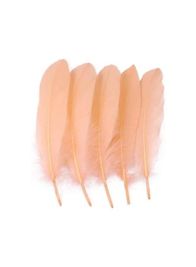 Natural Goose Feather - Family book shop