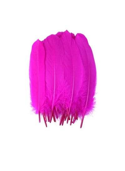 Natural Goose Feather - Family book shop