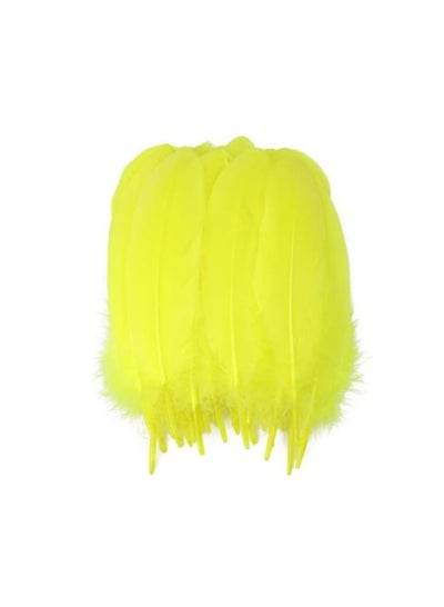 Natural Goose Feather - Family book shop