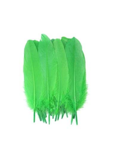 Natural Goose Feather - Family book shop
