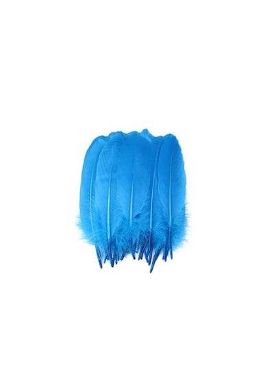 Natural Goose Feather - Family book shop