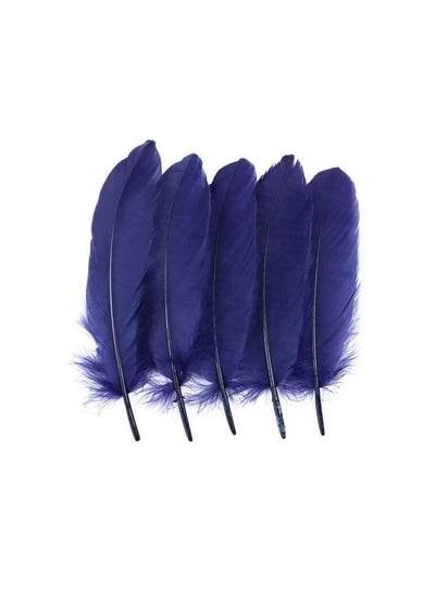 Natural Goose Feather - Family book shop