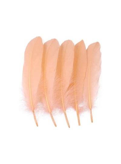 Natural Goose Feather 10-16cm 20 Pieces Colorful Feather - Family book shop