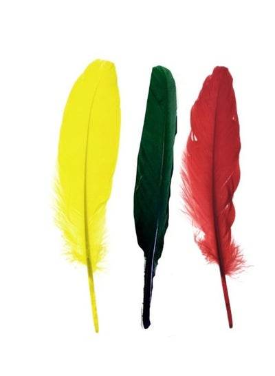 Natural Goose Feather 30cm Colorful Feather - Family book shop