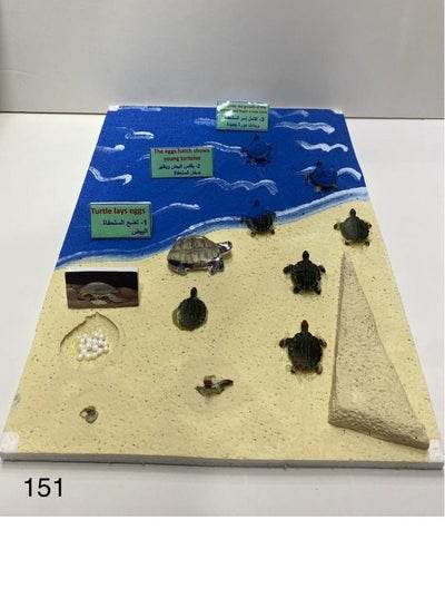 3D turtle school project showcasing turtle growth stages on a beach scene with detailed figures and informative labels