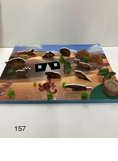 desert environment 3D school project - Family book shop