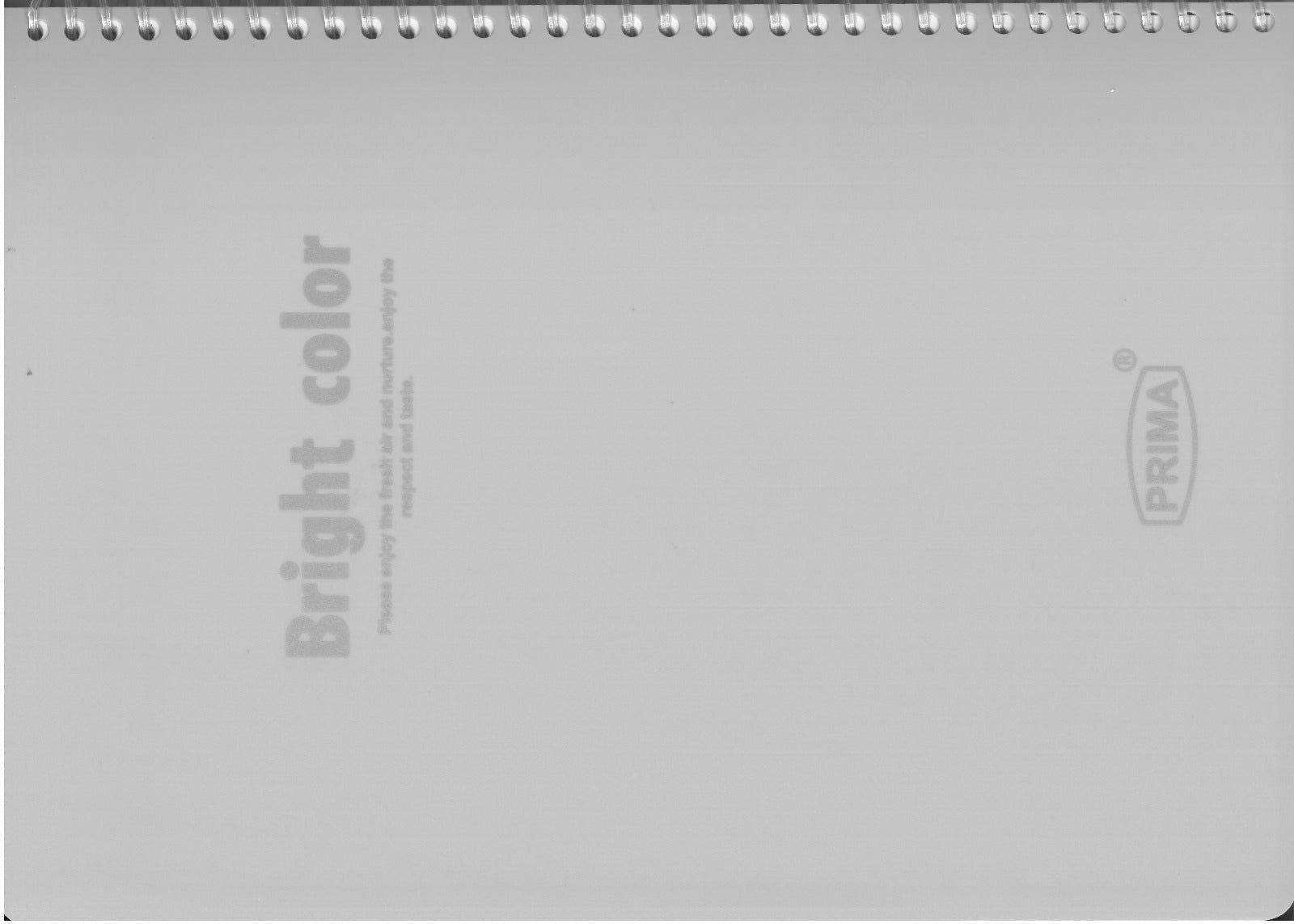 single line spiral not book A4 100 sheet - Family book shop