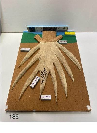 the roots 3D school project - Family book shop